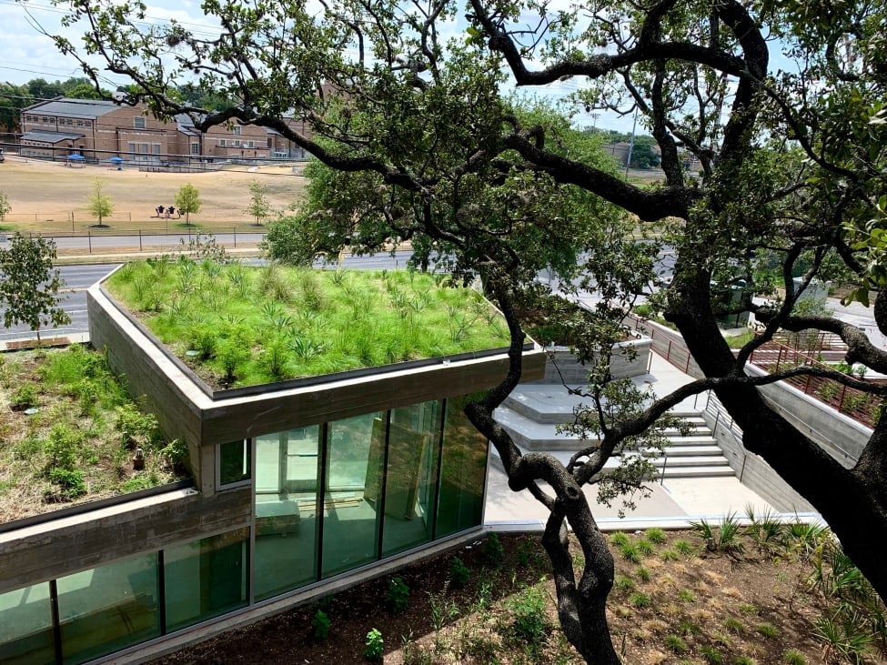 frank. condos green roof