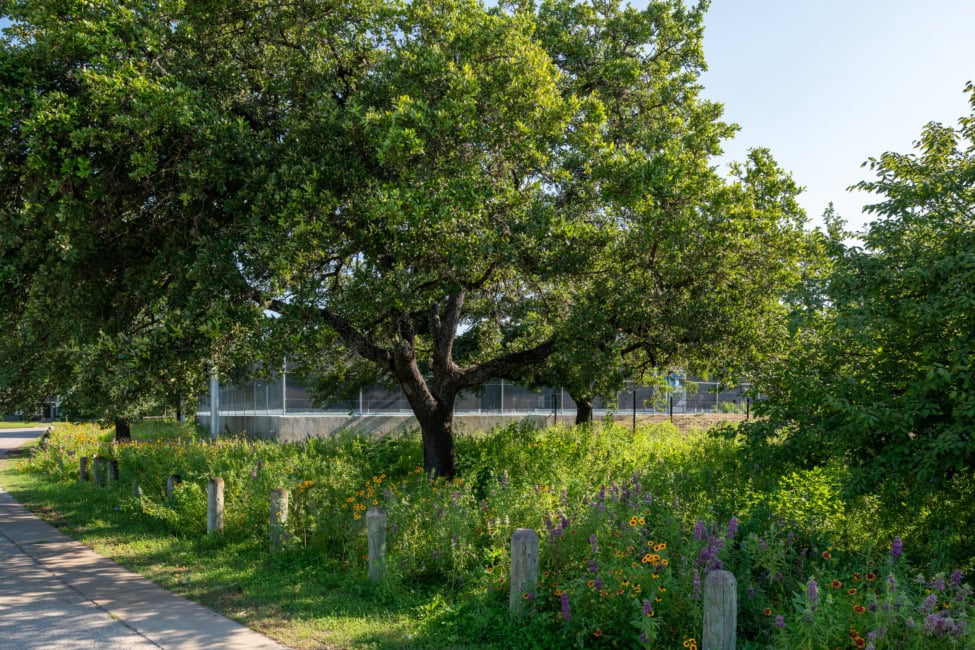 pharr tennis center prairie