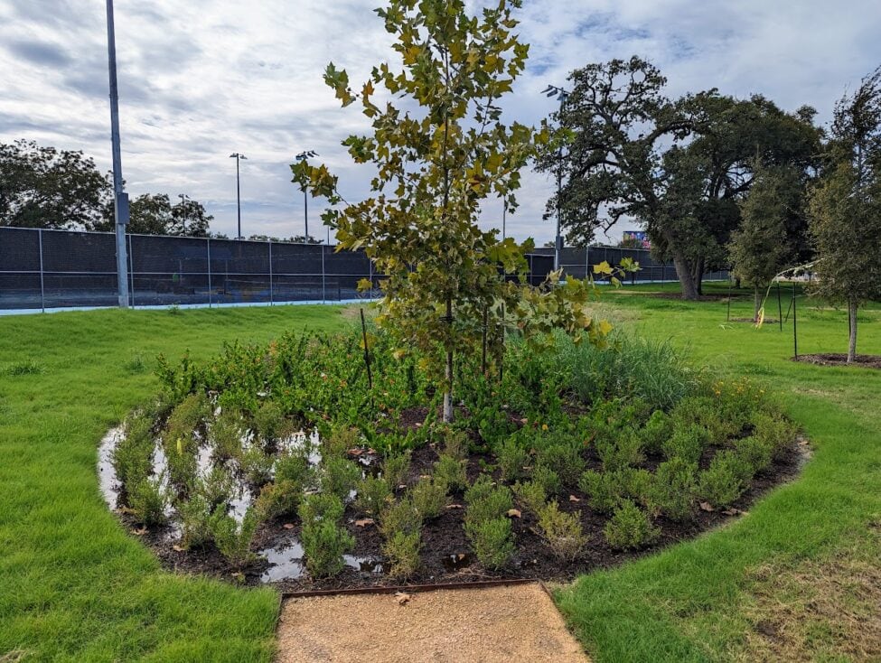 pharr tennis center rain garden